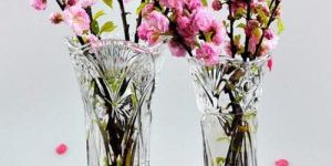 Glass Flower Vase