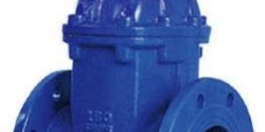 Non Rising Gate Valve