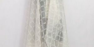 Organza Dupatta
