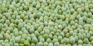 Dried Green Peas
