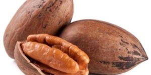 PECAN NUTS