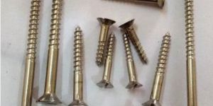 Nickel Polished Stainless Steel Screw