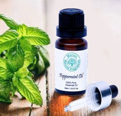 Peppermint Oil