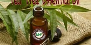 Tea Tree Oil