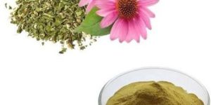 Echinacea Extract