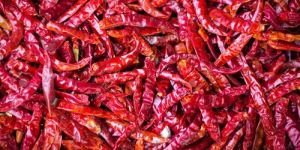 Dried Red Chilli