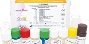T4 Elisa Test Kit