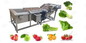 Vegetable Washing Machine