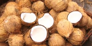 Coconut