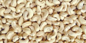 Cashew Nuts