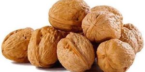 Paper Walnuts