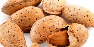 Shelled Almonds