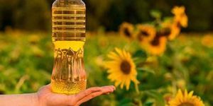 Sunflower Oil