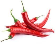 Fresh Red Chilli