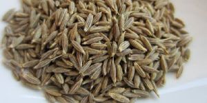 Cumin Seeds Jeera