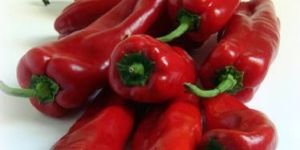 Fresh Paprika