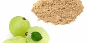 Amla Powder