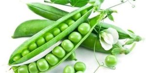 Fresh Green Peas