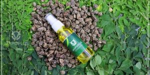 Moringa Oil 50ml