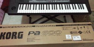 Electronic Musical Instrument