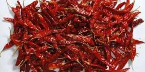 Guntur Dry Red Chilli