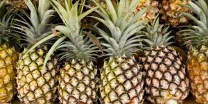 Fresh Pineapple