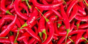 Fresh Red Chilli