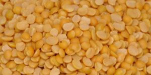 Pigeon Pea