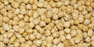 White Chickpeas