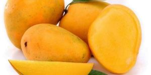 Kesar Mango