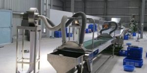 Semi-Automatic Cashew Kernel Packing Machine