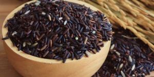 Black Rice