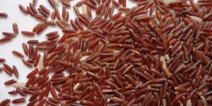 Thai Red Rice