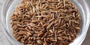 Cumin Seeds