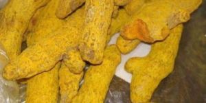 Turmeric Powder