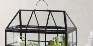 Glass Terrariums