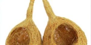 Coconut Fiber Bird Nest