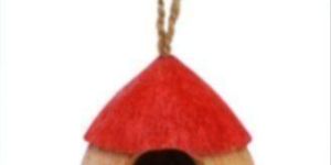 Coconut Husk Bird Feeder