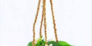 Coconut Shell Hanging Planter