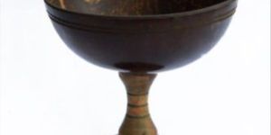 Coconut Shell Ice Cream Cup