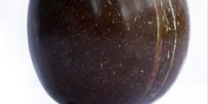 Coconut Shell Juice Cup