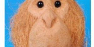 Coconut Shell Monkey Face