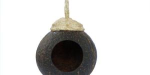 Coconut Shell Single Hole Bird Feeder