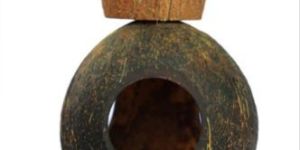 Coconut Shell Three Hole Bird Feeder
