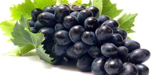 Fresh Black Grapes