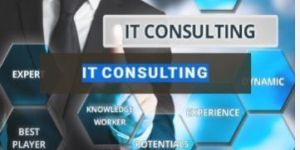 It Consulting Services