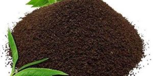 Black Tea Powder