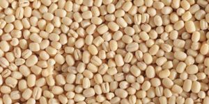 Washed Urad Dal