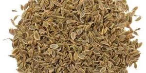 Dill Seeds