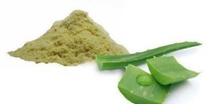 Aloe Vera Powder
